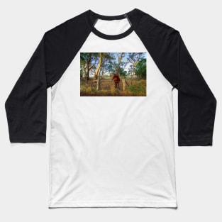 A Horse in the Adelaide Hills, South Australia Baseball T-Shirt